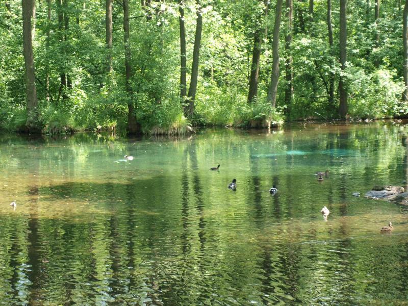 Niebieskie ?ród?a Tomaszów Maz